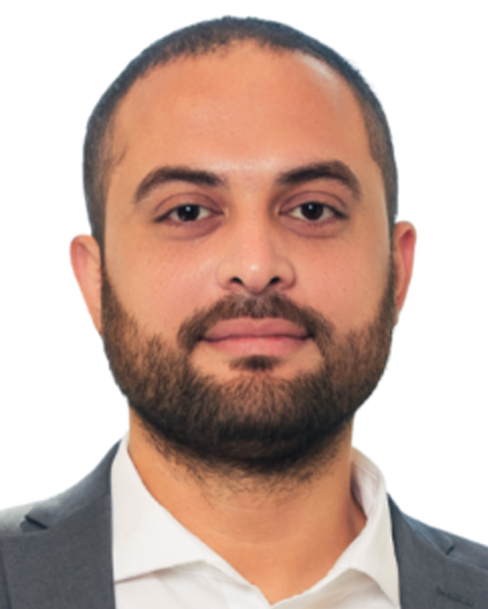 Mohamed A. AlEmam